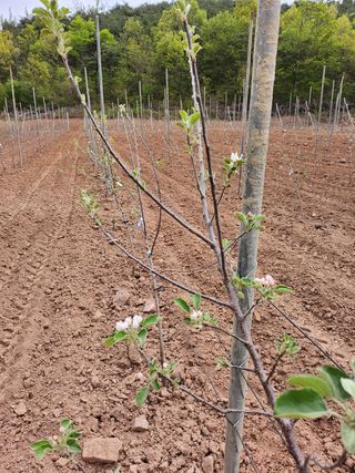 갈마골님의 자유주제 · 자유게시판 작성글 사진