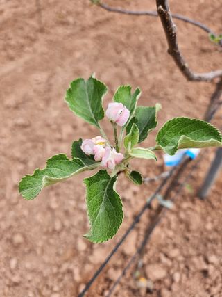 갈마골님의 자유주제 · 자유게시판 작성글 사진