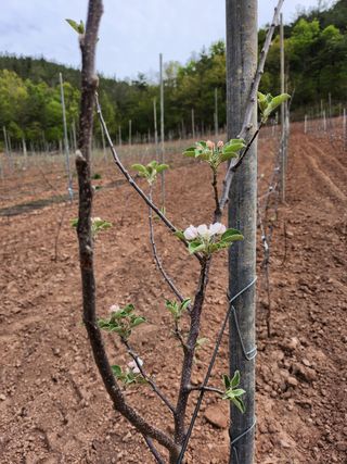 갈마골님의 자유주제 · 자유게시판 작성글 사진