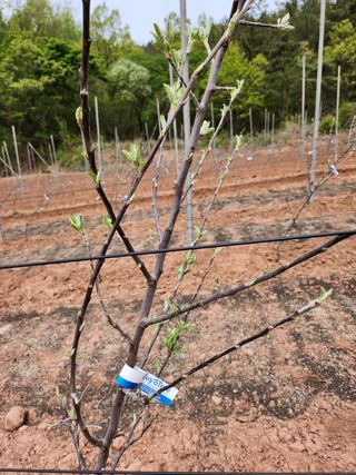 갈마골님의 자유주제 · 자유게시판 작성글 사진