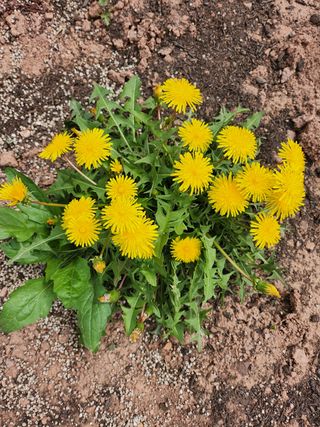 갈마골님의 자유주제 · 자유게시판 작성글 사진