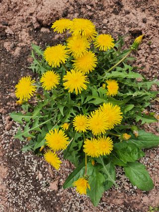 갈마골님의 자유주제 · 자유게시판 작성글 사진