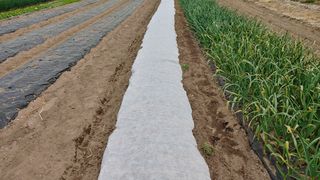 이용일님의 기타작물 · 자유게시판 작성글 사진