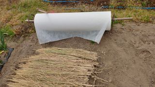 이용일님의 기타작물 · 자유게시판 작성글 사진