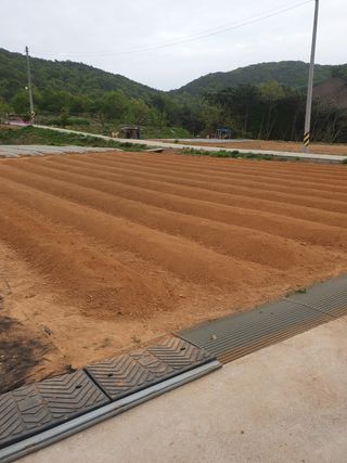 김주희님의 참깨 · 자유게시판 작성글 사진