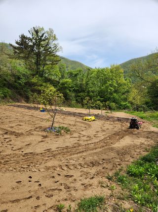 최군환님의 기타작물 · 자유게시판 작성글 사진