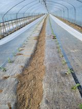 팜모닝 자유주제·자유게시판 게시글 이미지