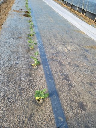 빛그린 김용화님의 자유주제 · 자유게시판 작성글 사진