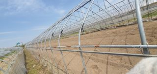 이은하님의 자유주제 · 자유게시판 작성글 사진