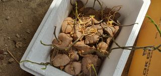 이은하님의 자유주제 · 자유게시판 작성글 사진