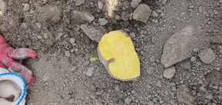 이은하님의 자유주제 · 자유게시판 작성글 사진