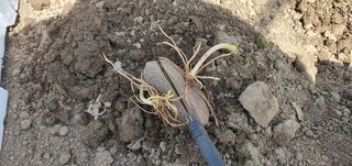 이은하님의 자유주제 · 자유게시판 작성글 사진