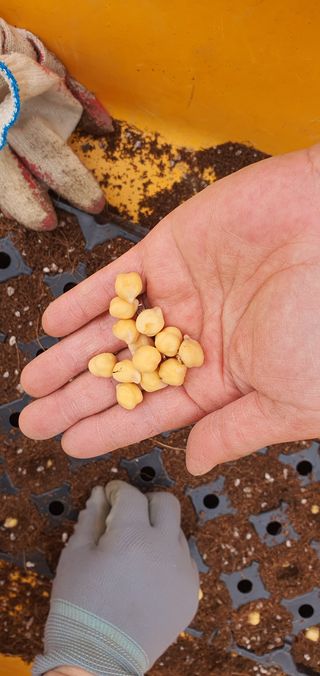 이은하님의 자유주제 · 자유게시판 작성글 사진