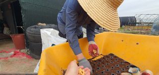 이은하님의 자유주제 · 자유게시판 작성글 사진