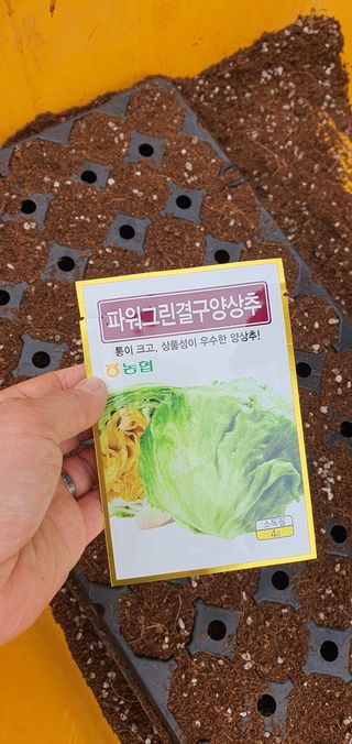 이은하님의 자유주제 · 자유게시판 작성글 사진