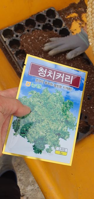 이은하님의 자유주제 · 자유게시판 작성글 사진