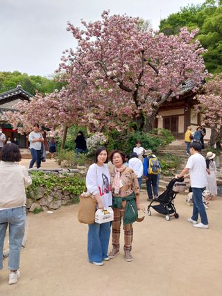 서산 밀집모자님의 자유주제 · 자유게시판 작성글 사진