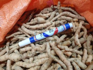 임동현님의 기타작물 · 자유게시판 작성글 사진