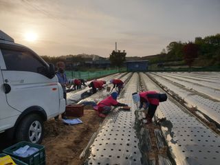 임동현님의 기타작물 · 자유게시판 작성글 사진