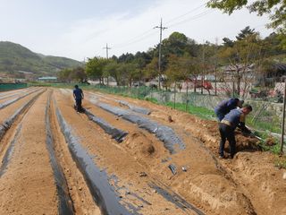 임동현님의 기타작물 · 자유게시판 작성글 사진
