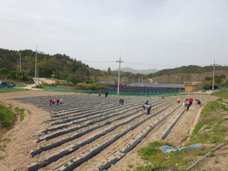 임동현님의 기타작물 · 자유게시판 작성글 사진