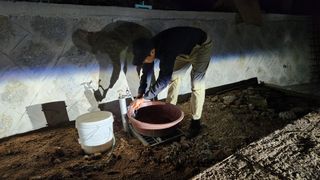 아기농부단야님의 기타작물 · 자유게시판 작성글 사진