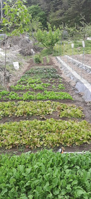 이강재님의 기타작물 · 자유게시판 작성글 사진