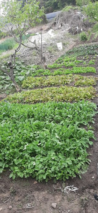 이강재님의 기타작물 · 자유게시판 작성글 사진