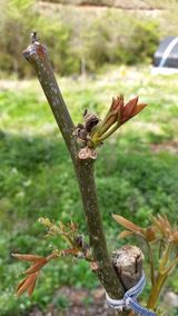 팜모닝 자유주제·자유게시판 게시글 이미지