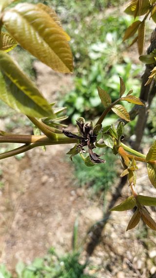 까두까두 님의 자유주제 · 자유게시판 작성글 사진