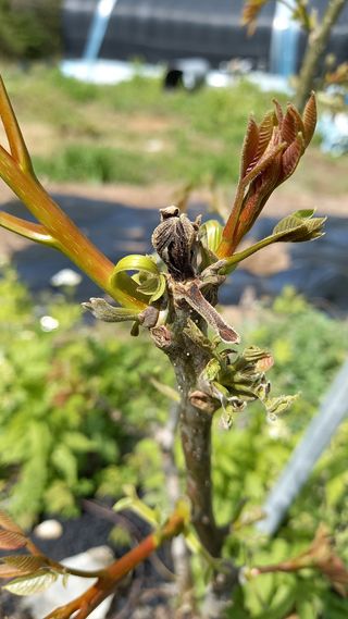 까두까두 님의 자유주제 · 자유게시판 작성글 사진