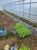 팜모닝 기타작물·자유게시판 게시글 이미지