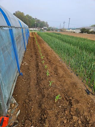 호욱33459725님의 기타작물 · 자유게시판 작성글 사진