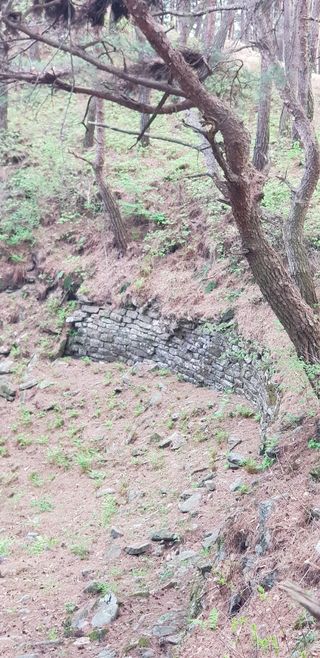 장혜림님의 고구마 · 자유게시판 작성글 사진