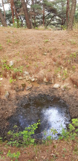 장혜림님의 고구마 · 자유게시판 작성글 사진