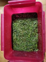 팜모닝 자유주제·자유게시판 게시글 이미지