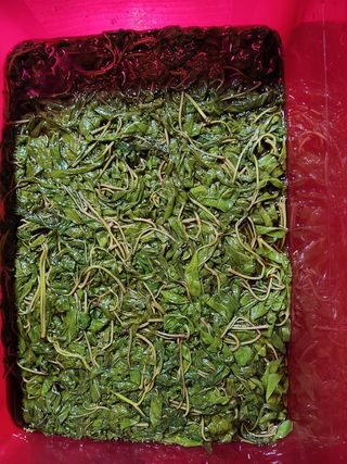 갈마골님의 자유주제 · 자유게시판 작성글 사진