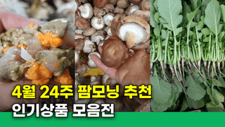 팜모닝님의 장터이야기 · 공지 작성글 사진