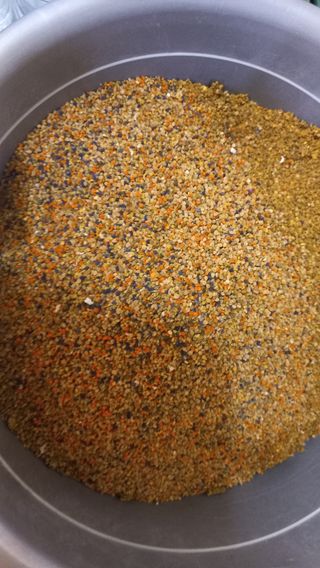 김상선님의 자유주제 · 자유게시판 작성글 사진