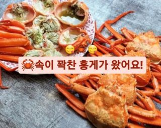노가네수산님의 작성글 사진