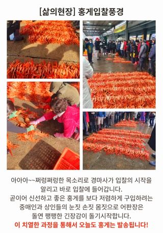 노가네수산님의 작성글 사진