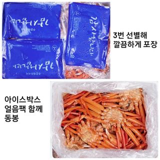 노가네수산님의 작성글 사진