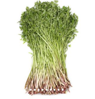 박유경님의 기타작물 · 병해충상담 작성글 사진