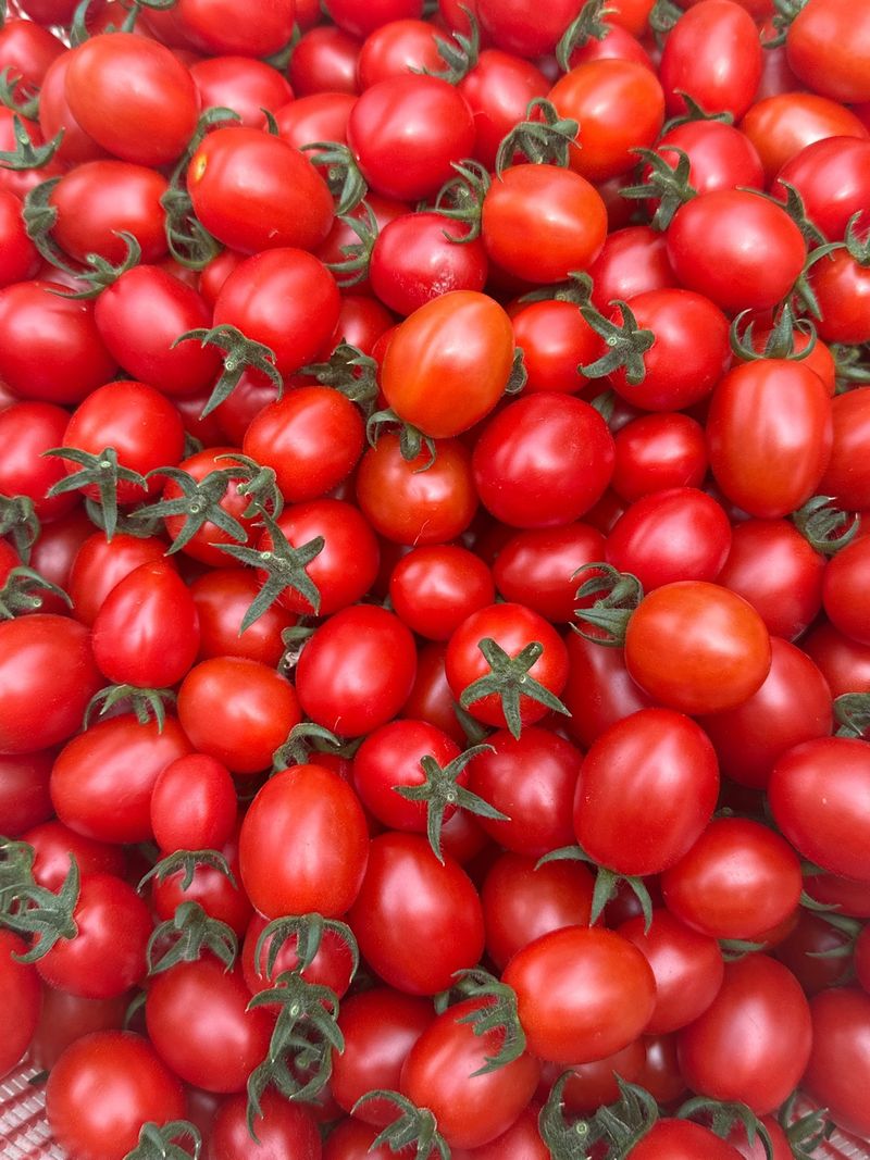 프룻하늬님의 장터 판매 상품 [🍅[최저가]싱싱한 대추방울토마토 3kg, 6kg] 첨부 사진