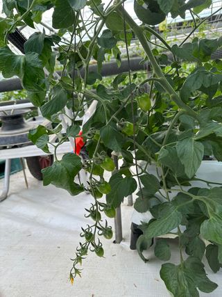 프룻하늬님의 작성글 사진