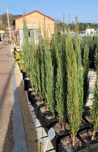 이선미님의 작성글 사진