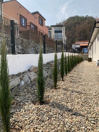 이선미님의 작성글 사진