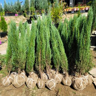 이선미님의 작성글 사진