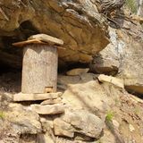 팜모닝 감자·자유게시판 게시글 이미지