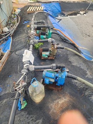 it농부님의 감자 · 자유게시판 작성글 사진